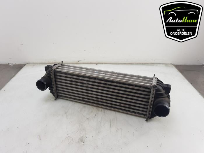 Gebruikte Intercooler Ford Transit Connect 1.8 TDdi LWB Euro 4 Prijs € 25,00 Margeregeling aangeboden door AutoHam