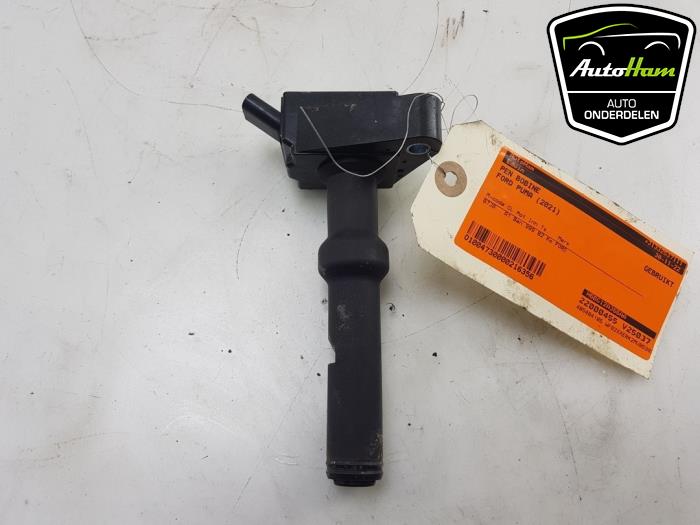 Gebruikte Pen Bobine Ford Puma 1.0 Ti-VCT EcoBoost 12V Prijs € 10,00 Margeregeling aangeboden door AutoHam