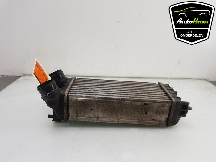 Gebruikte Intercooler Peugeot Partner (GC/GF/GG/GJ/GK) 1.6 HDI 90 Prijs € 20,00 Margeregeling aangeboden door AutoHam