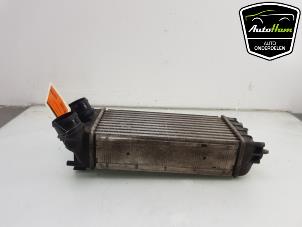 Gebruikte Intercooler Peugeot Partner (GC/GF/GG/GJ/GK) 1.6 HDI 90 Prijs € 20,00 Margeregeling aangeboden door AutoHam