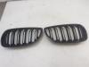 BMW 3 serie (E92) 320i 16V Grille