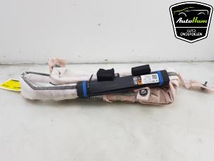 Gebruikte Airbag hemel links Tesla Model S 75 Prijs € 212,49 Inclusief btw aangeboden door AutoHam