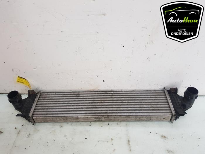 Gebruikte Intercooler Ford Transit 2.0 TDCi 16V Eco Blue 170 Prijs € 50,00 Margeregeling aangeboden door AutoHam