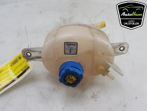 Gebruikte Koelvloeistof Reservoir Citroen Nemo (AA) 1.3 HDi 75 Prijs € 20,00 Margeregeling aangeboden door AutoHam