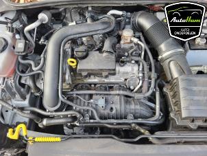 Gebruikte Motor Volkswagen Polo VI (AW1) 1.0 TSI 12V Prijs € 1.450,00 Margeregeling aangeboden door AutoHam