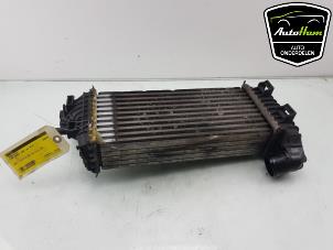 Gebruikte Intercooler Ford Transit Connect (PJ2) 1.6 TDCi 16V 75 Prijs € 50,00 Margeregeling aangeboden door AutoHam