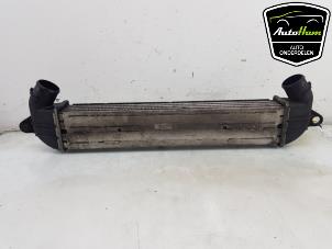 Gebruikte Intercooler Fiat Doblo Cargo (223) 1.3 D 16V Multijet DPF Prijs € 25,00 Margeregeling aangeboden door AutoHam