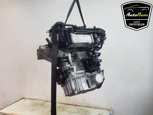 Gebruikte Motor Skoda Fabia IV (PJ3) 1.0 TSI 12V Prijs op aanvraag aangeboden door AutoHam