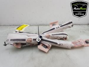 Gebruikte Airbag hemel links Tesla Model S P100D Prijs € 212,49 Inclusief btw aangeboden door AutoHam