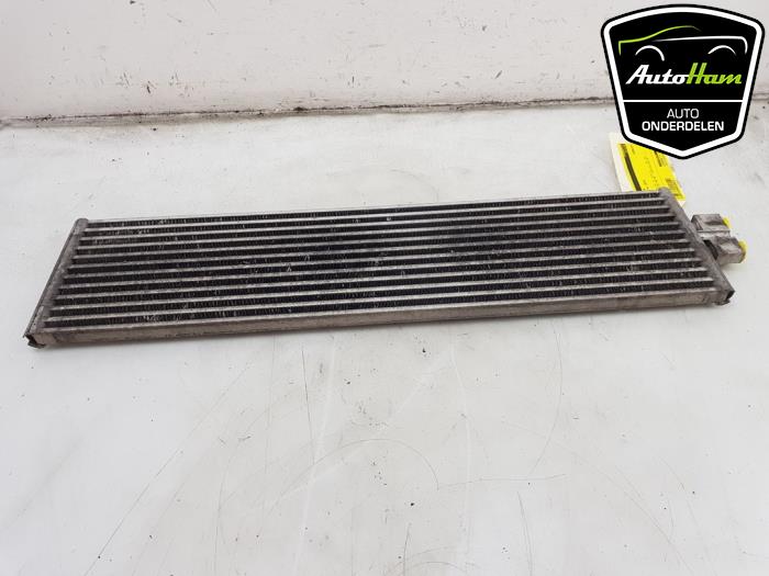Gebruikte Radiateur BMW X5 (F15) xDrive 40e 2.0 Prijs € 95,00 Margeregeling aangeboden door AutoHam