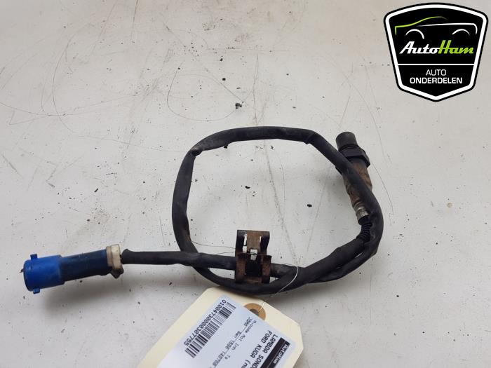Gebruikte Lambda Sonde Ford Kuga II (DM2) 1.6 EcoBoost 16V Prijs € 20,00 Margeregeling aangeboden door AutoHam
