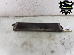 Gebruikte Radiateur Porsche Panamera (971G) 2.9 V6 24V 4 E-Hybrid Prijs € 95,00 Margeregeling aangeboden door AutoHam