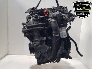 Gebruikte Motor Volkswagen Caddy III (2KA,2KH,2CA,2CH) 2.0 TDI 16V Prijs € 2.964,50 Inclusief btw aangeboden door AutoHam