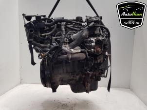 Gebruikte Motor Ford Fiesta 6 (JA8) 1.6 TDCi 16V ECOnetic Prijs € 675,00 Margeregeling aangeboden door AutoHam