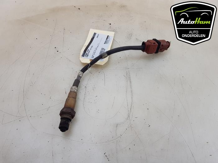 Gebruikte Lambda Sonde Ford Focus 4 Wagon 1.0 EcoBoost 12V Hybrid 125 Prijs € 25,00 Margeregeling aangeboden door AutoHam