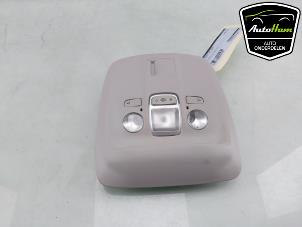 Gebruikte Binnenverlichting voor Opel Vivaro 2.0 CDTI 122 Prijs € 36,30 Inclusief btw aangeboden door AutoHam