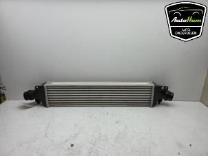 Gebruikte Intercooler Opel Corsa D 1.6i OPC 16V Turbo Prijs € 75,00 Margeregeling aangeboden door AutoHam