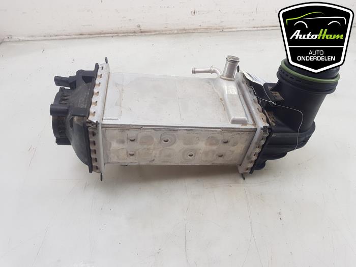 Gebruikte Intercooler Volkswagen Polo VI (AW1) 1.0 TSI 12V Prijs € 75,00 Margeregeling aangeboden door AutoHam