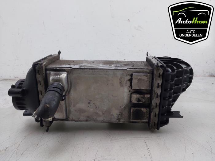 Gebruikte Intercooler Volkswagen Golf VIII (CD1) 1.0 TSI 12V Prijs € 75,00 Margeregeling aangeboden door AutoHam