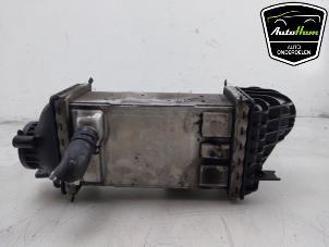 Gebruikte Intercooler Volkswagen Golf VIII (CD1) 1.0 TSI 12V Prijs € 95,00 Margeregeling aangeboden door AutoHam