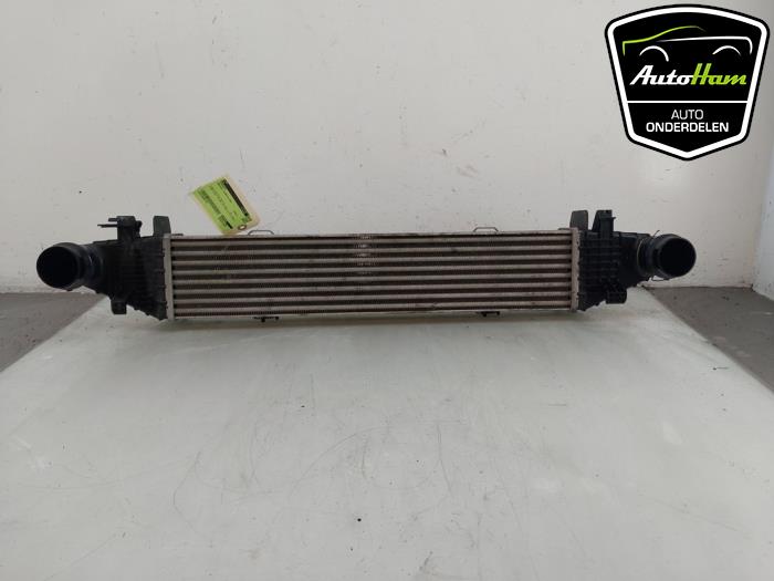 Gebruikte Intercooler Mercedes C (W204) 1.8 C-180 CGI 16V Prijs € 75,00 Margeregeling aangeboden door AutoHam