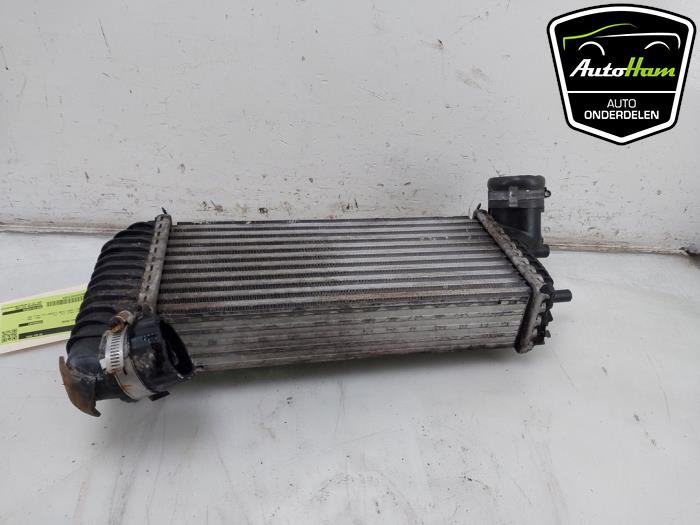 Gebruikte Intercooler Ford Transit Connect (PJ2) 1.5 EcoBlue Prijs € 60,50 Inclusief btw aangeboden door AutoHam