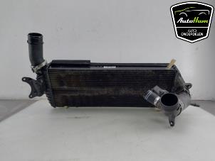 Gebruikte Intercooler Ferrari 296 GTS 3.0 PHEV Prijs € 840,95 Inclusief btw aangeboden door AutoHam