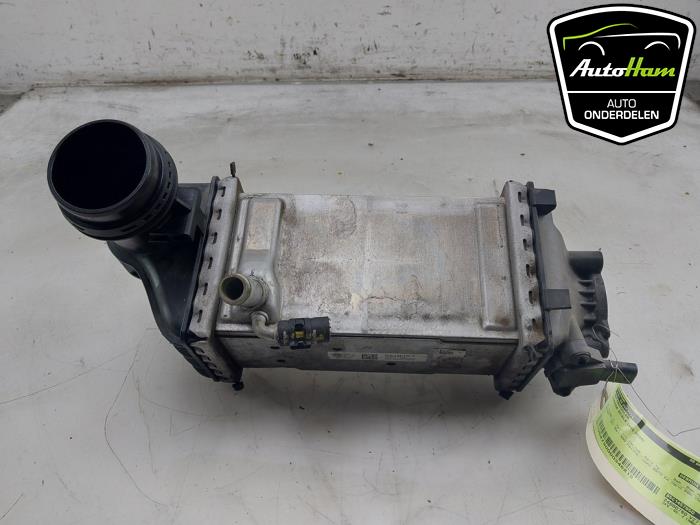 Gebruikte Intercooler Skoda Scala 1.0 TSI 115 Prijs € 75,00 Margeregeling aangeboden door AutoHam