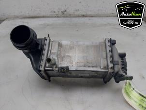 Gebruikte Intercooler Skoda Scala 1.0 TSI 115 Prijs € 95,00 Margeregeling aangeboden door AutoHam