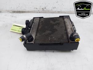 Gebruikte Radiateur BMW 5 serie (F10) 530i 24V TwinPower Turbo Prijs € 75,00 Margeregeling aangeboden door AutoHam