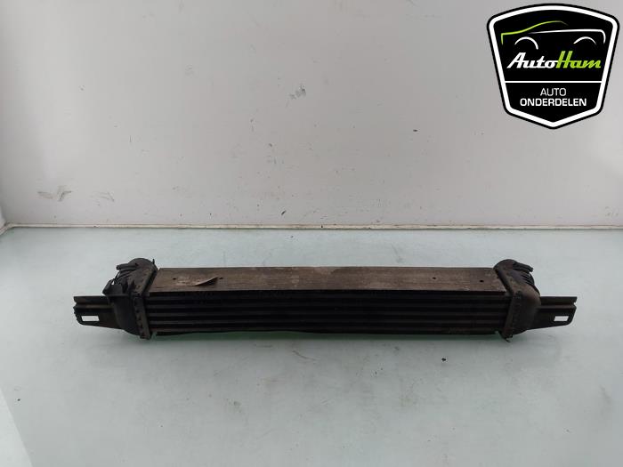 Gebruikte Intercooler Fiat Fiorino (225) 1.3 JTD 16V Multijet Prijs € 25,00 Margeregeling aangeboden door AutoHam
