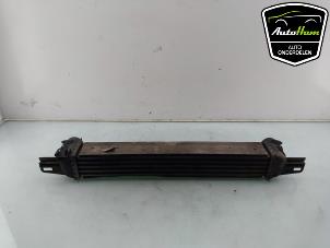 Gebruikte Intercooler Fiat Fiorino (225) 1.3 JTD 16V Multijet Prijs € 25,00 Margeregeling aangeboden door AutoHam
