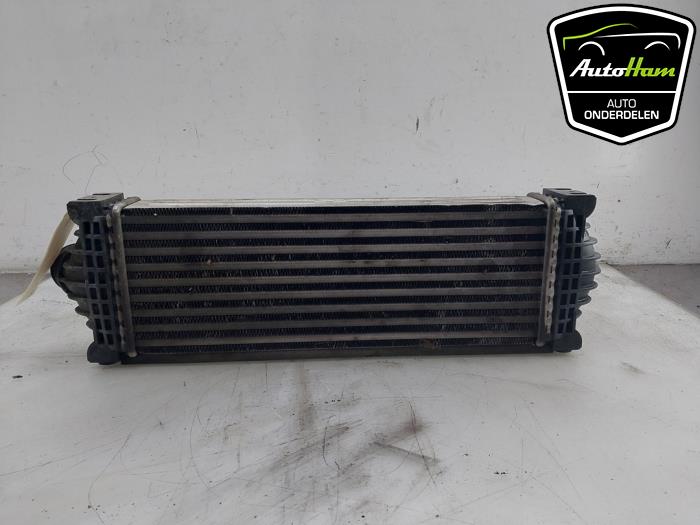 Gebruikte Intercooler Ford Transit Custom 2.0 TDCi 16V Eco Blue 130 Prijs € 60,50 Inclusief btw aangeboden door AutoHam