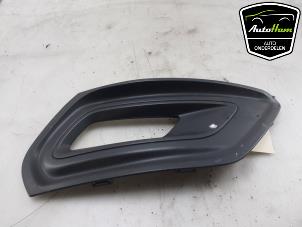 Gebruikte Bumper Rooster Ford Transit Custom 2.0 TDCi 16V Eco Blue 130 Prijs € 18,15 Inclusief btw aangeboden door AutoHam