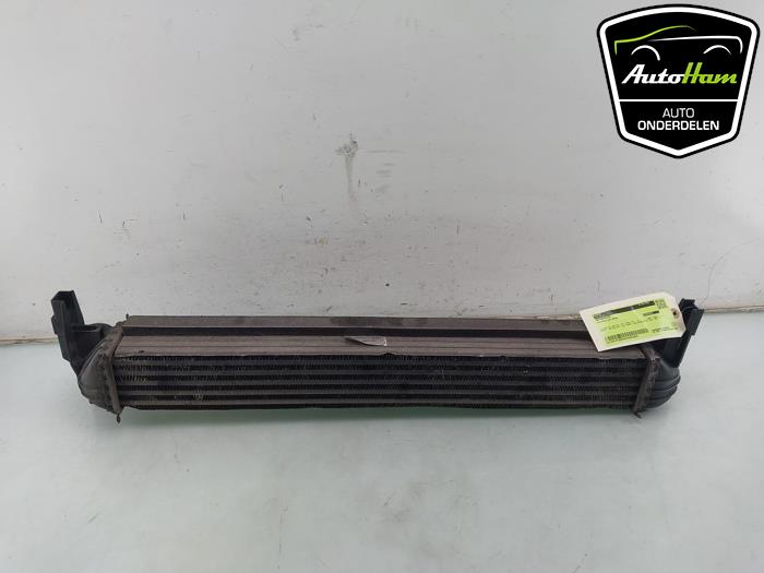Gebruikte Intercooler Volkswagen Polo V (6R) 1.2 TDI 12V BlueMotion Prijs € 40,00 Margeregeling aangeboden door AutoHam