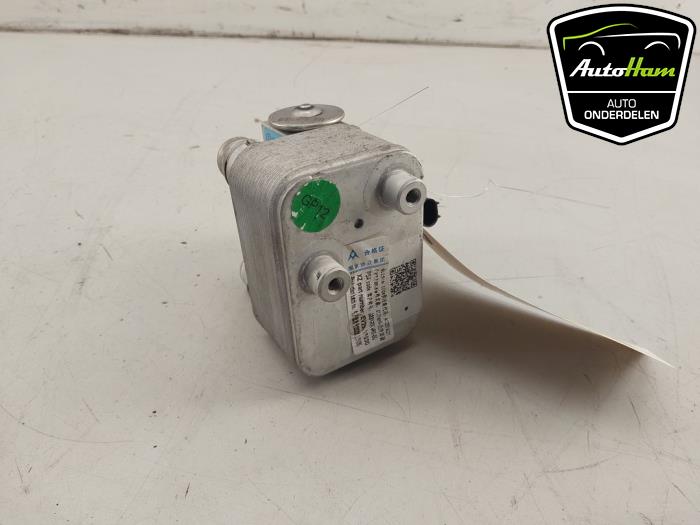 Gebruikte Airco expansieklep Peugeot 2008 (UD/UK/UR/US/UX) e-2008 50 kWh Prijs € 60,00 Margeregeling aangeboden door AutoHam