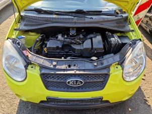 Gebruikte Computer Motormanagement Kia Picanto (BA) 1.0 12V Prijs € 39,99 Margeregeling aangeboden door A-Team Automotive