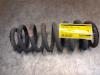 Suzuki Grand Vitara II (JT) 2.0 16V Schroefveer achter