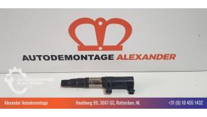 Gebruikte Pen Bobine Renault Clio III (BR/CR) 1.6 16V Prijs € 10,00 Margeregeling aangeboden door Alexander Autodemontage
