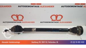 Gebruikte Homokineetas rechts-voor Volkswagen Golf Plus (5M1/1KP) 1.6 TDI 16V 90 Prijs € 100,00 Margeregeling aangeboden door Alexander Autodemontage