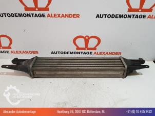 Gebruikte Intercooler Fiat Punto Evo (199) 1.3 JTD Multijet Evo 85 16V Euro 5 Prijs € 50,00 Margeregeling aangeboden door Alexander Autodemontage