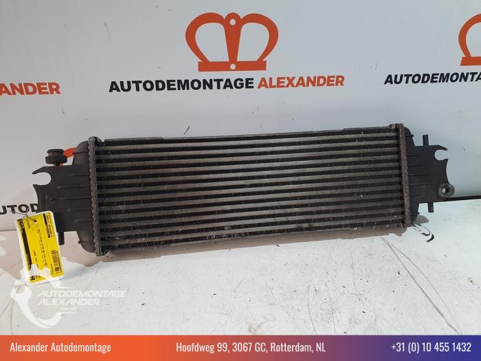 Gebruikte Intercooler Opel Vivaro 2.0 CDTI Prijs € 19,99 Margeregeling aangeboden door Alexander Autodemontage
