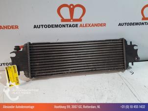 Gebruikte Intercooler Opel Vivaro 2.0 CDTI Prijs € 19,99 Margeregeling aangeboden door Alexander Autodemontage