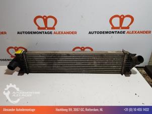 Gebruikte Intercooler Ford Focus 2 Wagon 1.6 TDCi 16V 90 Prijs € 34,99 Margeregeling aangeboden door Alexander Autodemontage