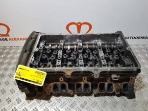 Gebruikte Cilinderkop Ford Transit 2.2 TDCi 16V Prijs op aanvraag aangeboden door Alexander Autodemontage
