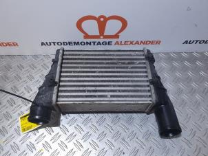 Gebruikte Intercooler Volkswagen Passat (3B2) 1.9 TDi 110 Prijs € 24,99 Margeregeling aangeboden door Alexander Autodemontage