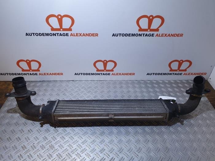 Gebruikte Intercooler Alfa Romeo Giulietta (940) 1.6 JTDm 16V Prijs € 24,99 Margeregeling aangeboden door Alexander Autodemontage