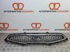 Kia Picanto (TA) 1.0 12V Grille