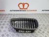 BMW 1 serie (E81) 118i 16V Grille
