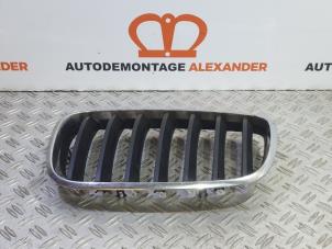 Gebruikte Grille BMW X5 (E70) 30d xDrive 3.0 24V Prijs op aanvraag aangeboden door Alexander Autodemontage
